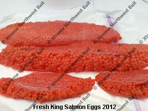 Fresh Salmon Egg, Fresh Salmon Roe, Xtreme Northwest Bait Co